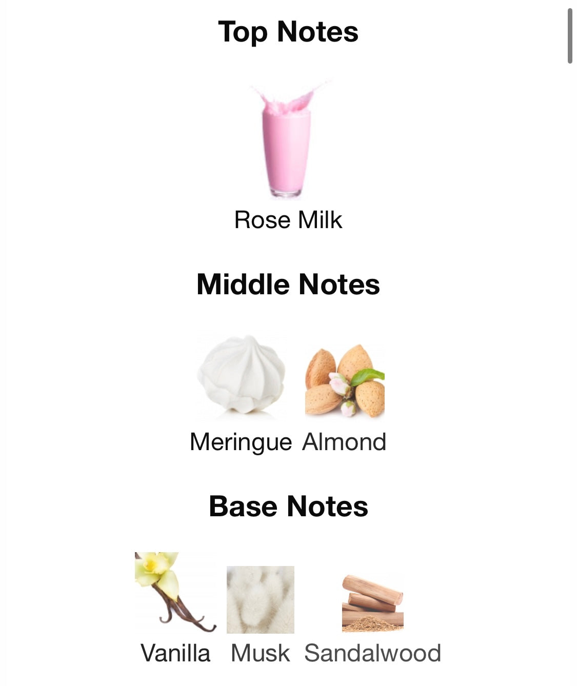 Badee Al Oud Noble Blush – Lattafa Eau de Parfum (5 ml / 8 ml / 100 ml)